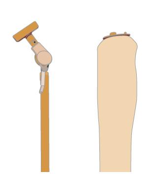 Ȳġ ġ