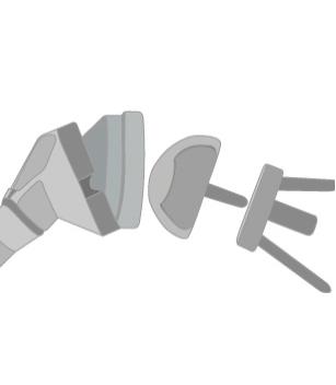  ġ